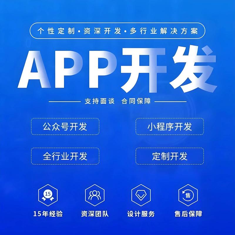 系统开发