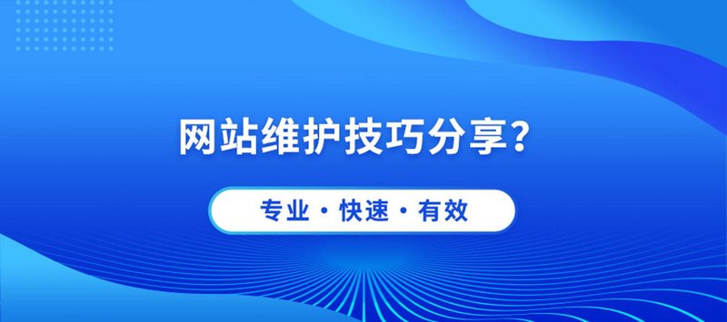 软件开发风向标:定制化解决方案引领企业变革